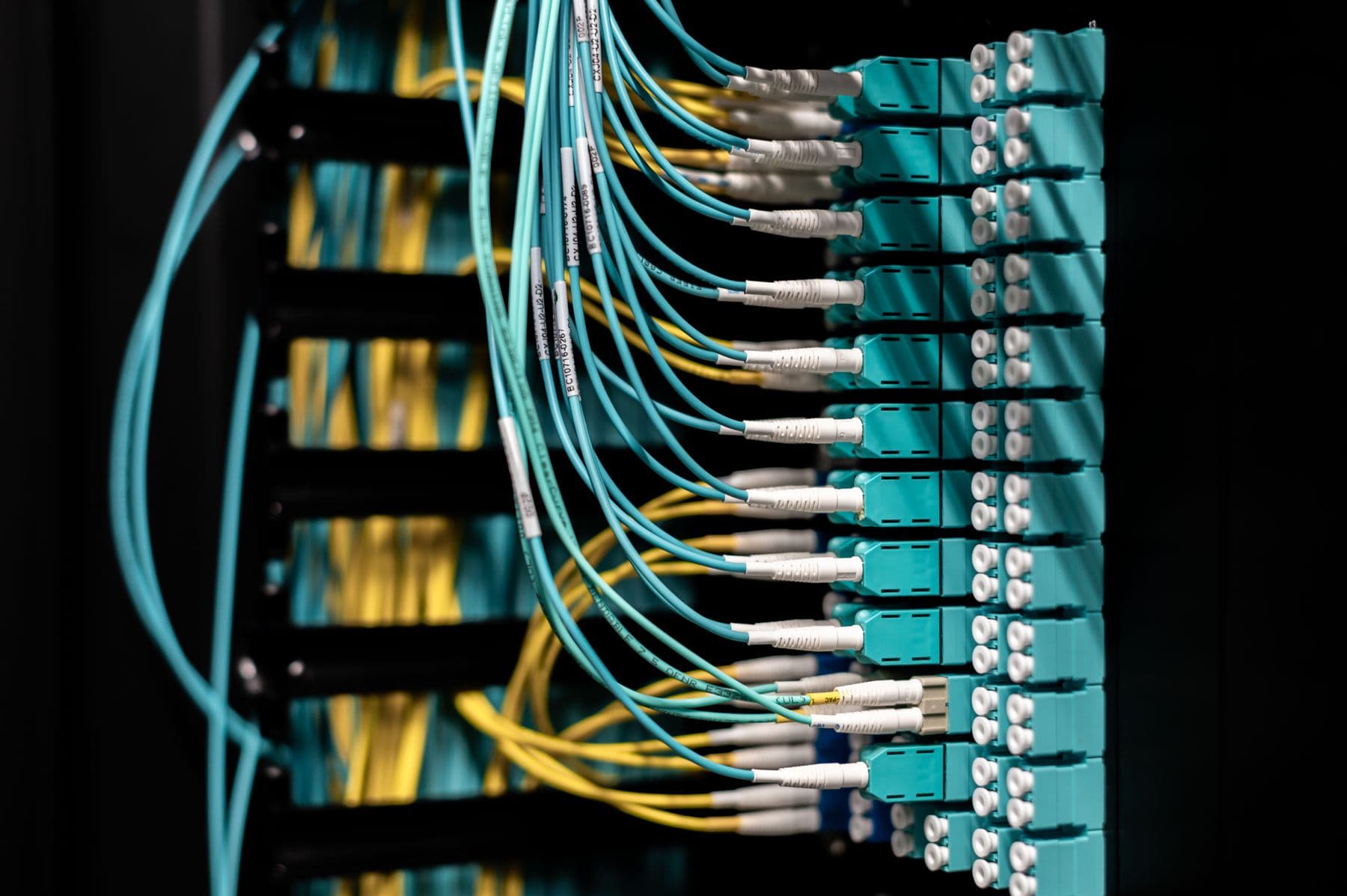 Fibre patch panel with yellow and aqua jumpers — illustrative, not a Converge site